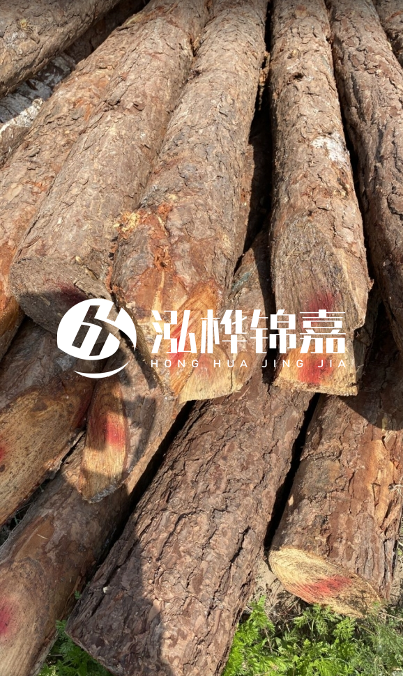 <strong>松木樁和杉木樁的用途區(qū)別？哪個更適合打樁用？</strong>