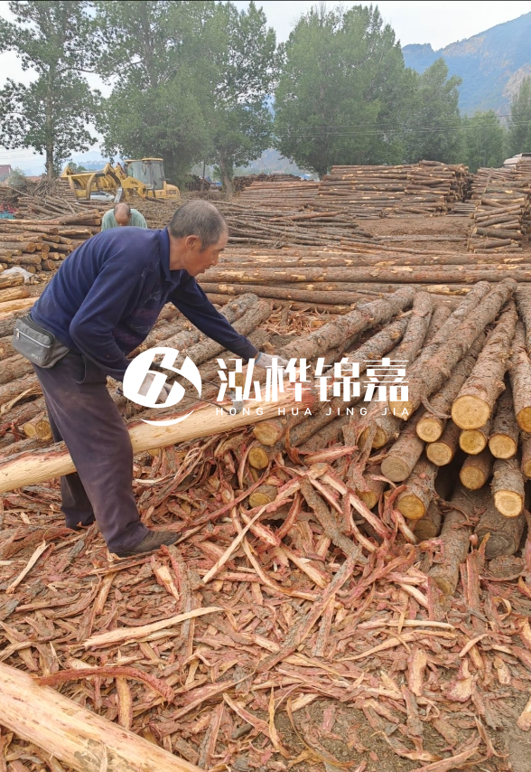 九江河底清理淤泥施工隊-河道清淤85元一方能干嗎？