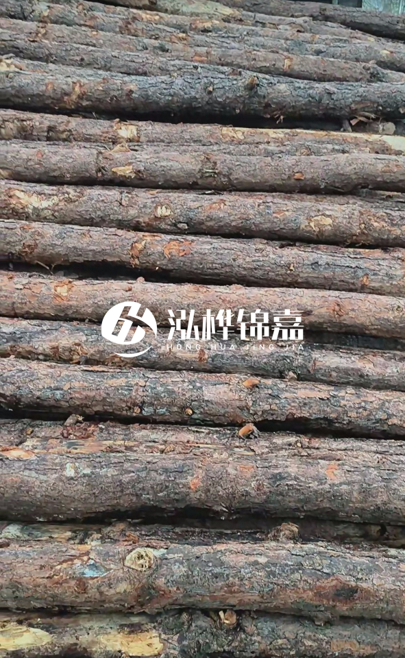 陽(yáng)江松木樁源頭廠家-哪一種打樁木最便宜？