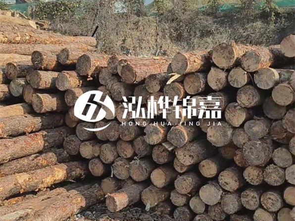 落葉松木材的主要產(chǎn)地在哪里？為什么比其他松木更耐腐蝕？