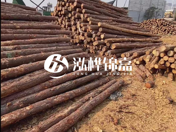 河道木樁施工遇到淤泥怎么辦？打多深才能防沖刷？
