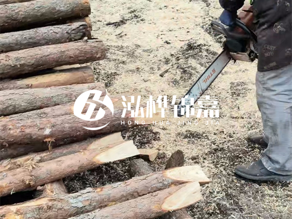 杉木樁批發(fā)廠家哪家好？產(chǎn)地直供渠道推薦！