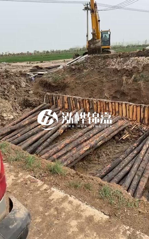 4米直徑12-13油松批發(fā)價最低多少？報價含稅含運嗎？