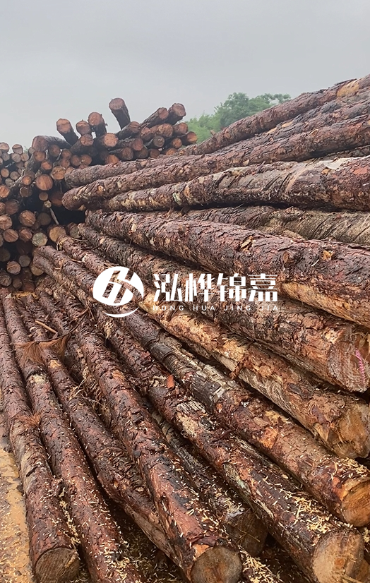 購(gòu)買(mǎi)松木樁注意事項(xiàng)有哪些-不同直徑松木樁區(qū)別有哪些？
