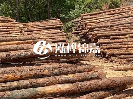 松木樁的運(yùn)輸費(fèi)用是否包含卸車(chē)費(fèi)？卸貨時(shí)需要注意哪些安全問(wèn)題？