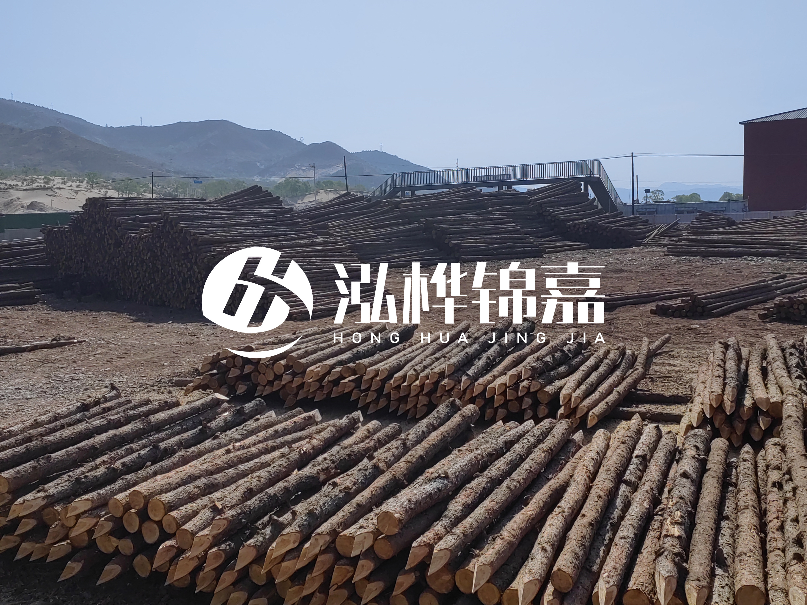 江蘇打樁木源頭廠家泓樺錦嘉-4米打樁木大頭14-16小頭一般多少？