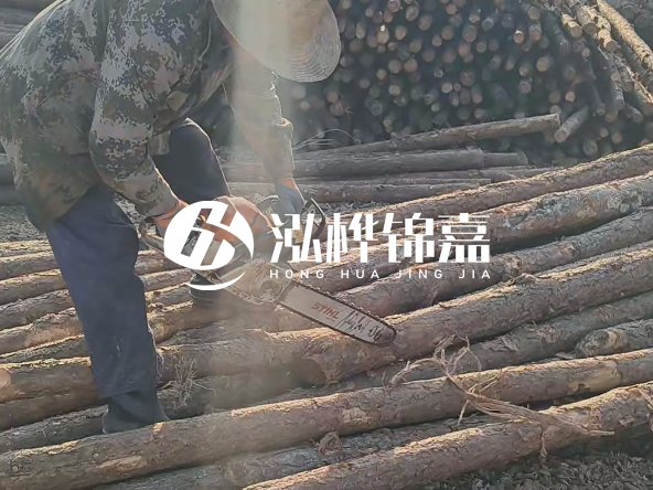 廣東打樁木源頭廠家泓樺錦嘉 - 如何選擇適合特定邊坡的松木樁？