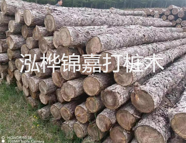 高效修補(bǔ)，保駕護(hù)航！水泥路面高強(qiáng)度修補(bǔ)料為您解決煩惱！