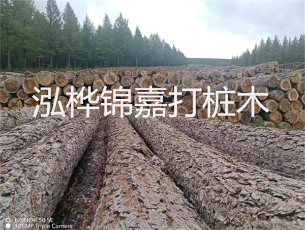高效施工，圓松木樁助力建筑工程進展順利