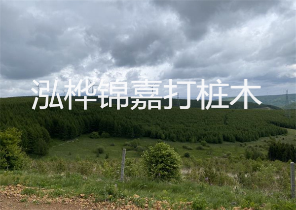 松木樁能重復(fù)施工么？
