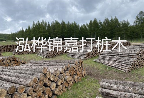 預(yù)制松木樁施工工藝：優(yōu)質(zhì)材料，高效快速，堅固耐用