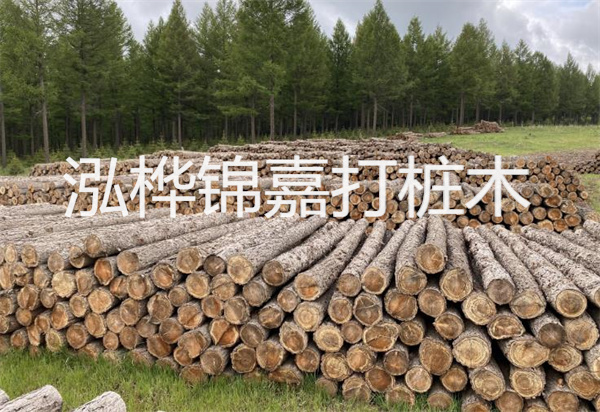 松木樁能施工嗎？探究視頻揭秘真相！
