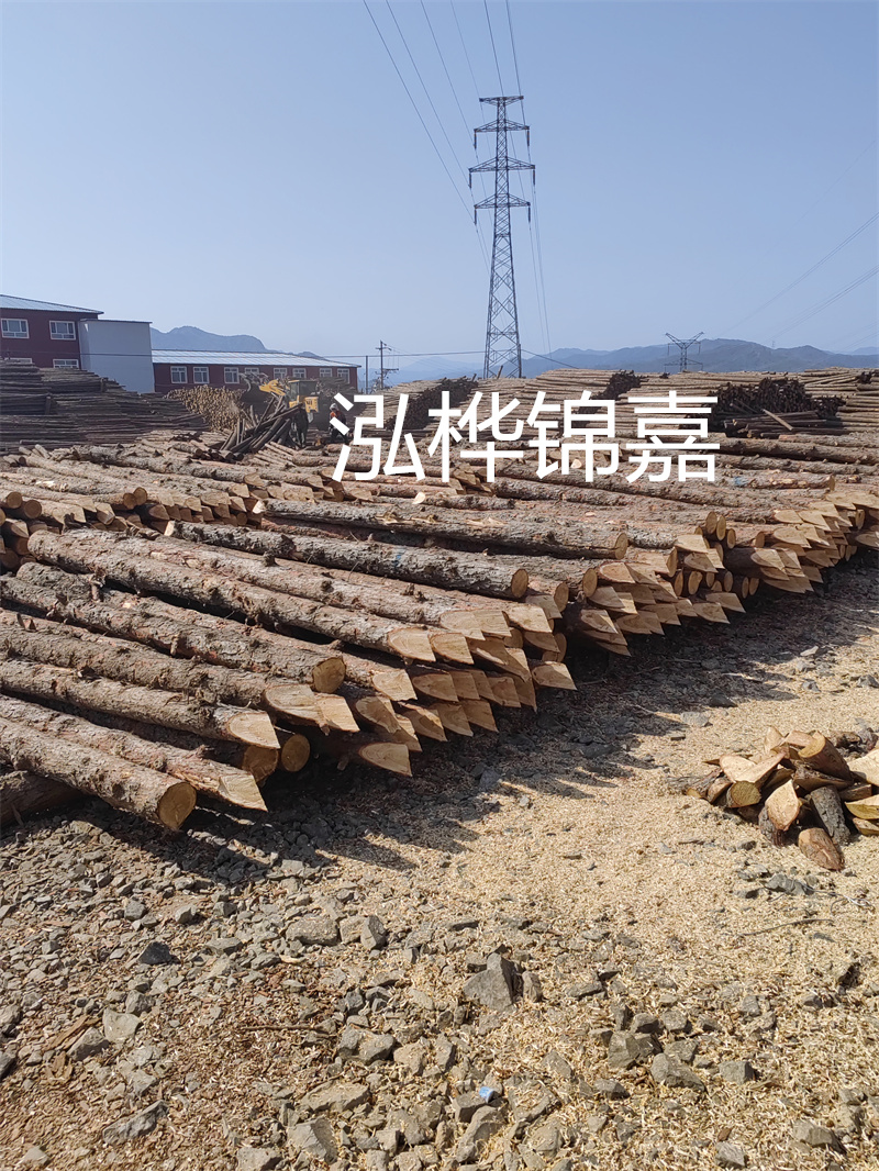 深入了解松木樁基礎(chǔ)施工單價(jià)，助力工程建設(shè)順利進(jìn)行！