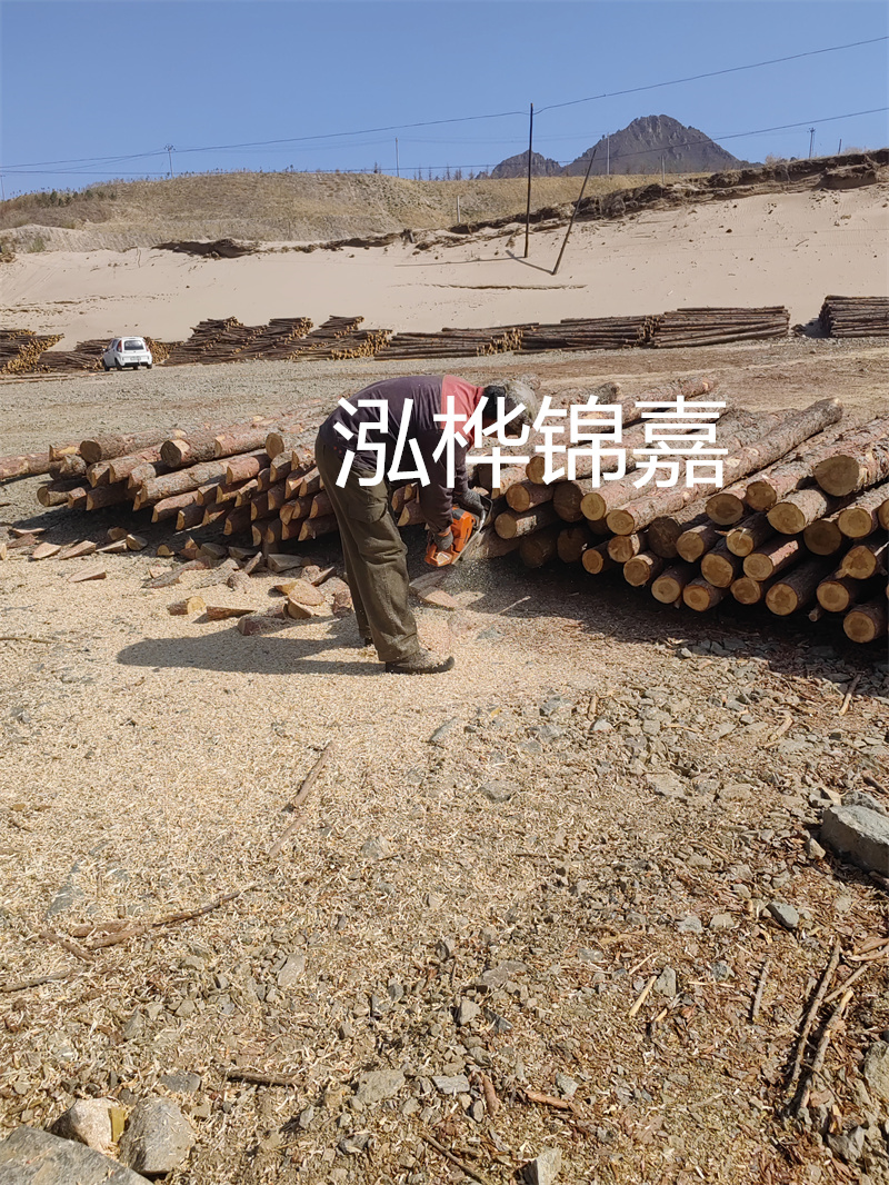 松木樁駁岸施工，打造水上風(fēng)景線