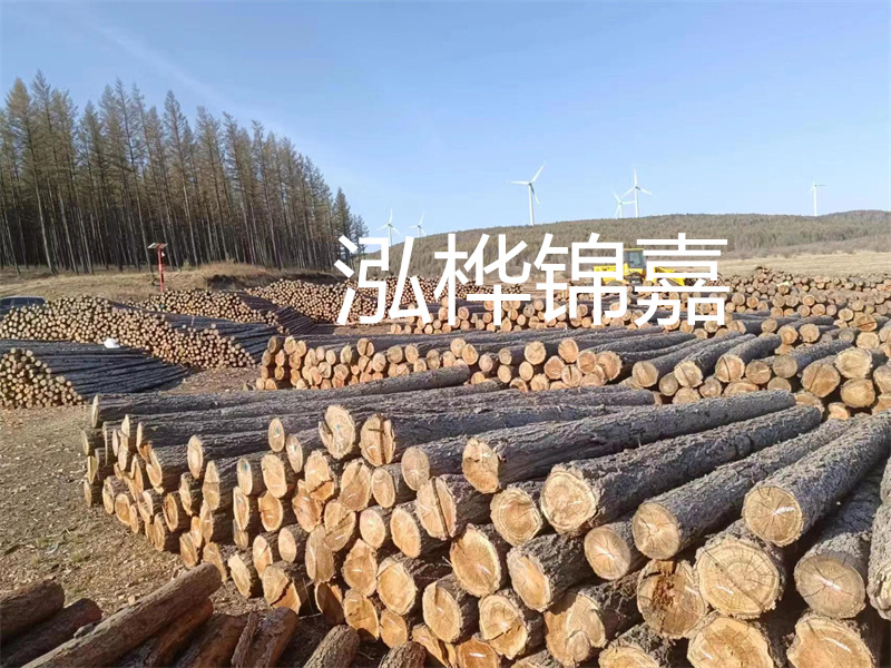 用路基松木樁施工方案提升工程質(zhì)量描述：了解路基松木樁施工方案的重要性，提高工程質(zhì)量關(guān)鍵詞：路基松木樁，施工方案，工程質(zhì)量