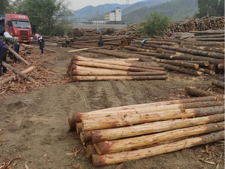 打造獨(dú)特魅力，混凝土著色劑為您加冕
