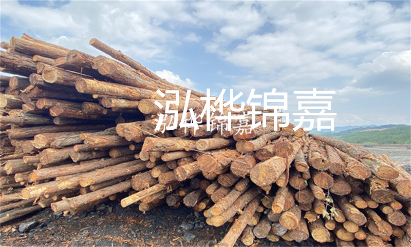 濮陽松木樁，卓越品質，安全可靠