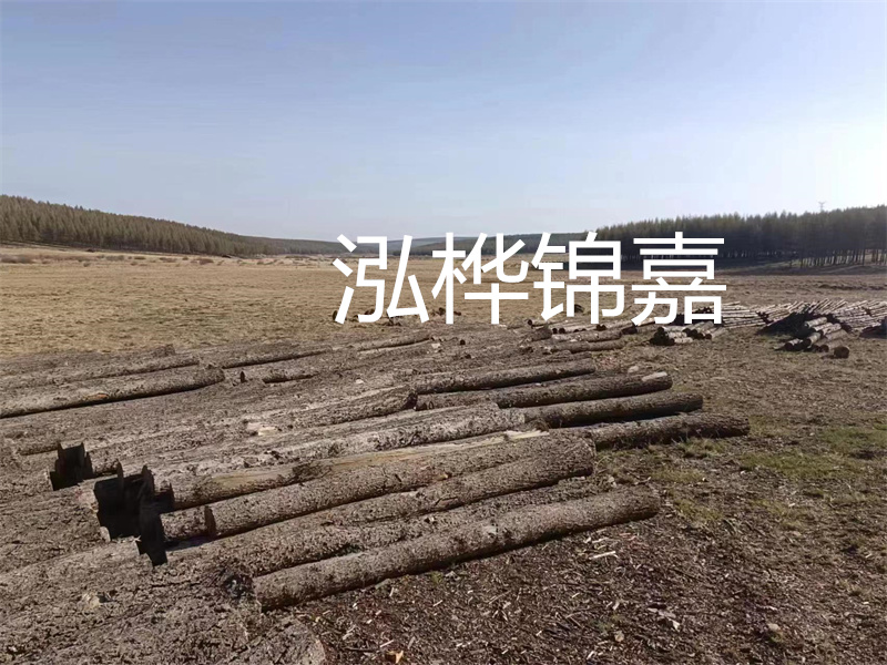 鄂州松木樁哪里好？推薦泓樺錦嘉松木樁業(yè)！